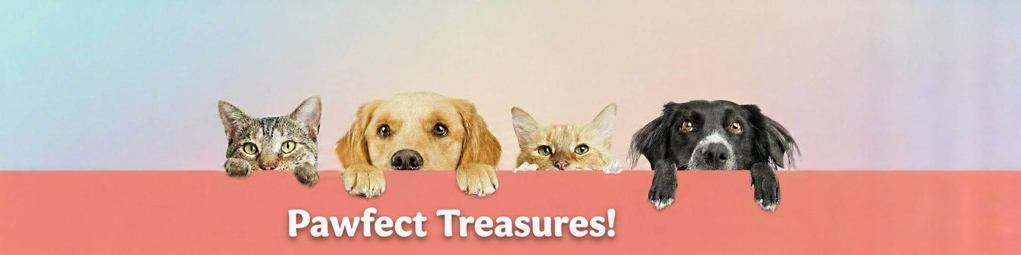 Home Page Banner Image